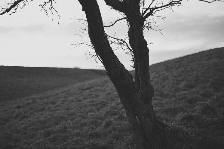 anglers rest wedding - ireland modern wedding photographer 00072