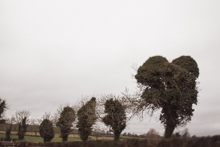 C + M | wedding in Boyne Hill House | Meath wedding photography 1