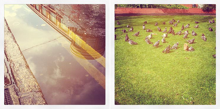 instagram 2