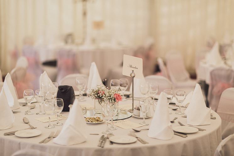 Donegal wedding photographer - irish wedding - woods portraits - Lake House hotel - mercedes wedding - vintage dress 0077 T + F | Lake House Hotel | Donegal wedding photography 77